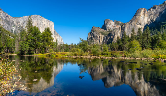 Huge rocky cliff faces protruding through pine trees
