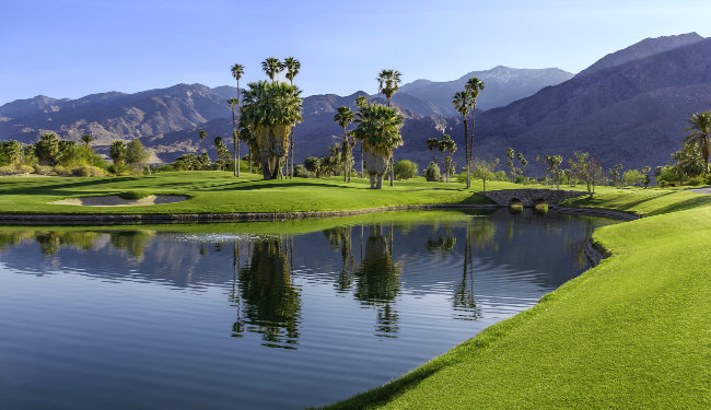 Golf course with palms trees with mountains in the background.